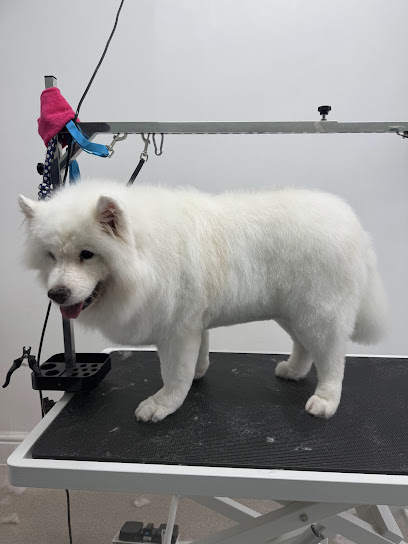 City Paws Dog Grooming