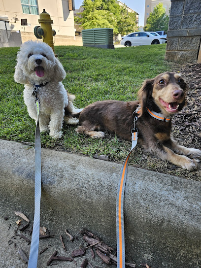 Fitz & Friendz Pet Care