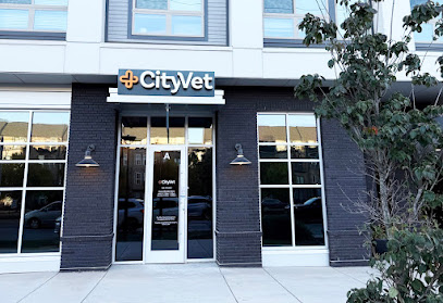 CityVet | Lower South End Veterinary Clinic & Urgent Care