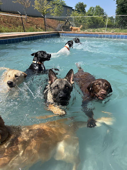 The Woof Den Dog Resort and Daycare