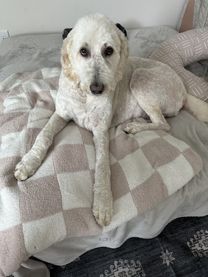 Dry Pond Animal Hospital and Pet Resort