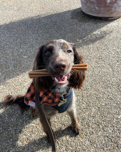 Village Tails (Dog Walking & Pet Sitting)