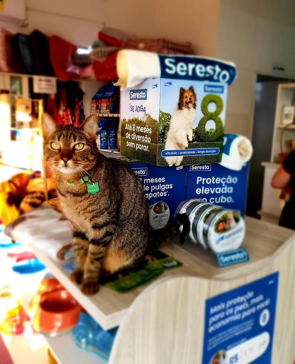 Arrumadinhos Pet Shop