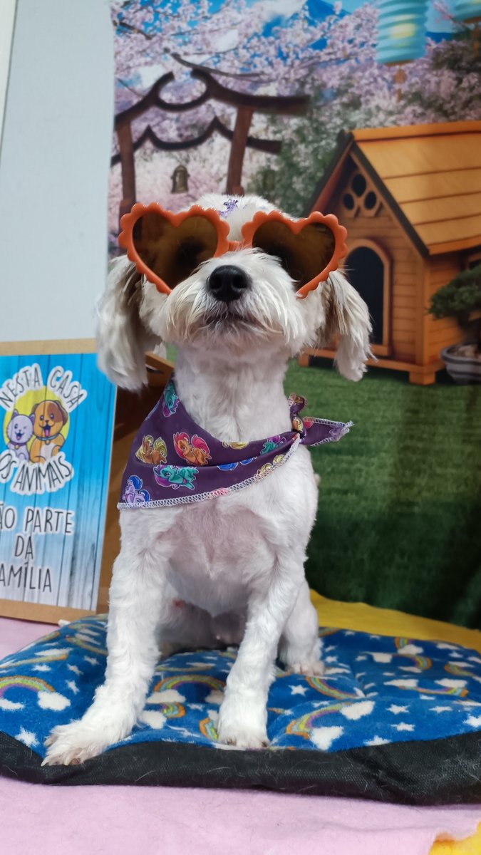 Centro Veterinário Basso