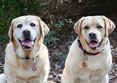 Canine Behavior Solutions NC