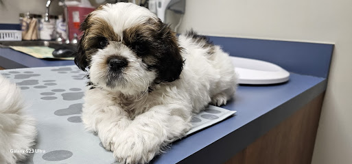 West Shore Animal Hospital