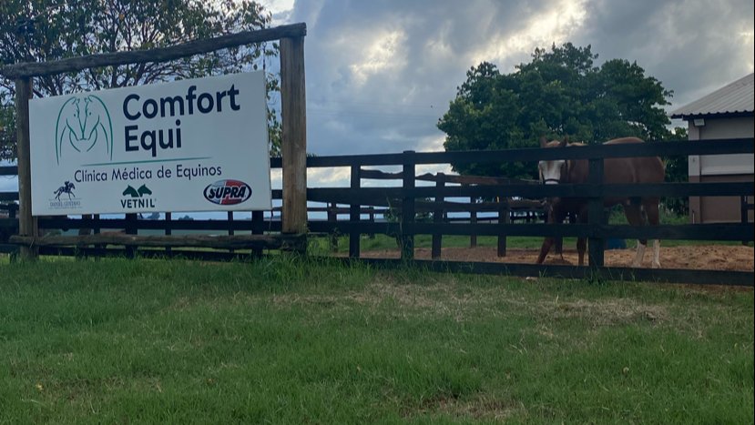 Comfort Equi - Clínica Médica De Equinos