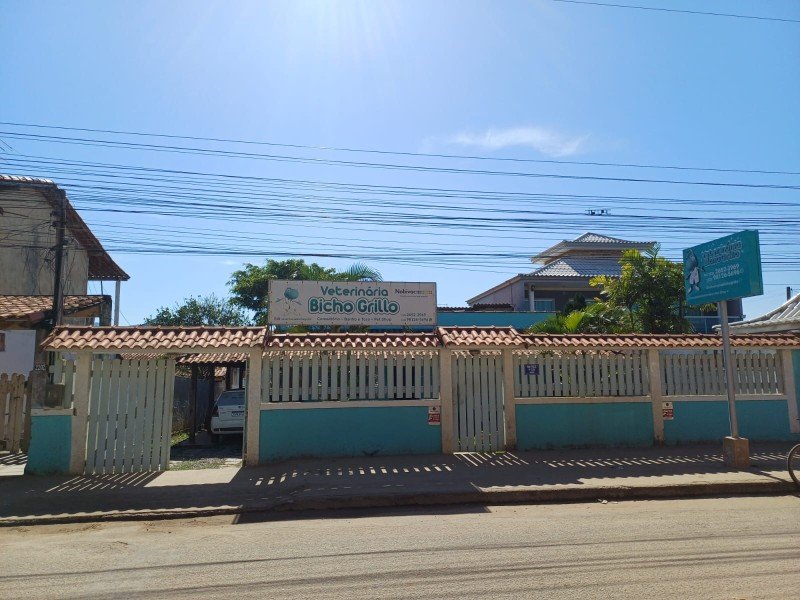Veterinaria Bicho Grillo
