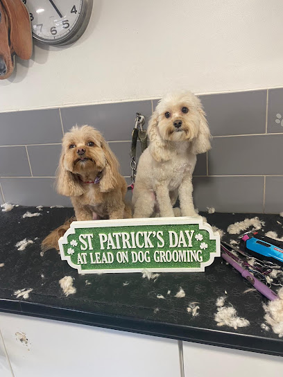 Lead On Dog Grooming