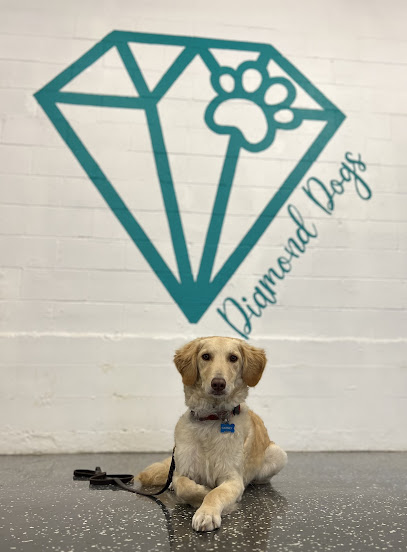 Diamond Dogs Dog Training