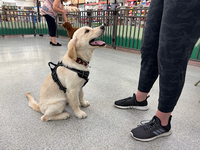 SIRIUS Puppy & Dog Training