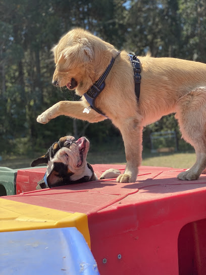 Vicki’s Little Rascals Dog Daycare Ranch