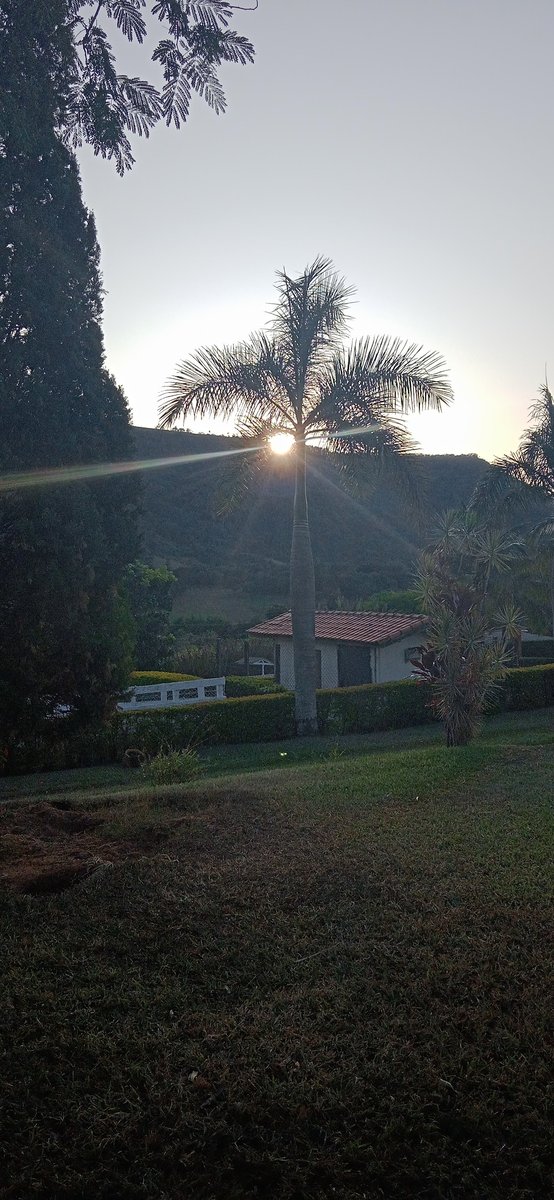 Agropecuária Bertoncini