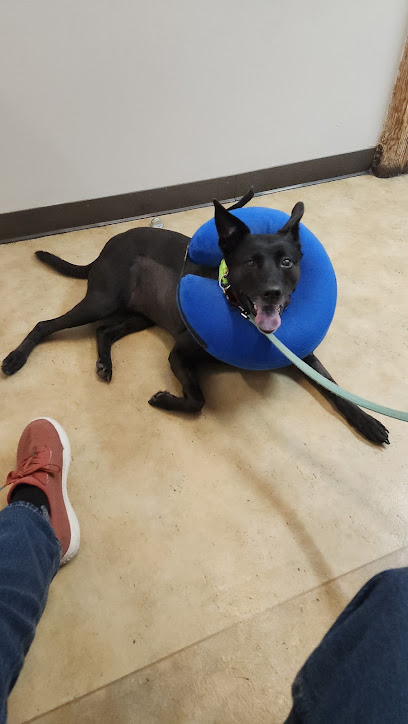 SAGE Veterinary Centers - San Francisco