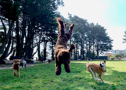 Sniff San Francisco | Dog Walking, Training & Boarding Services