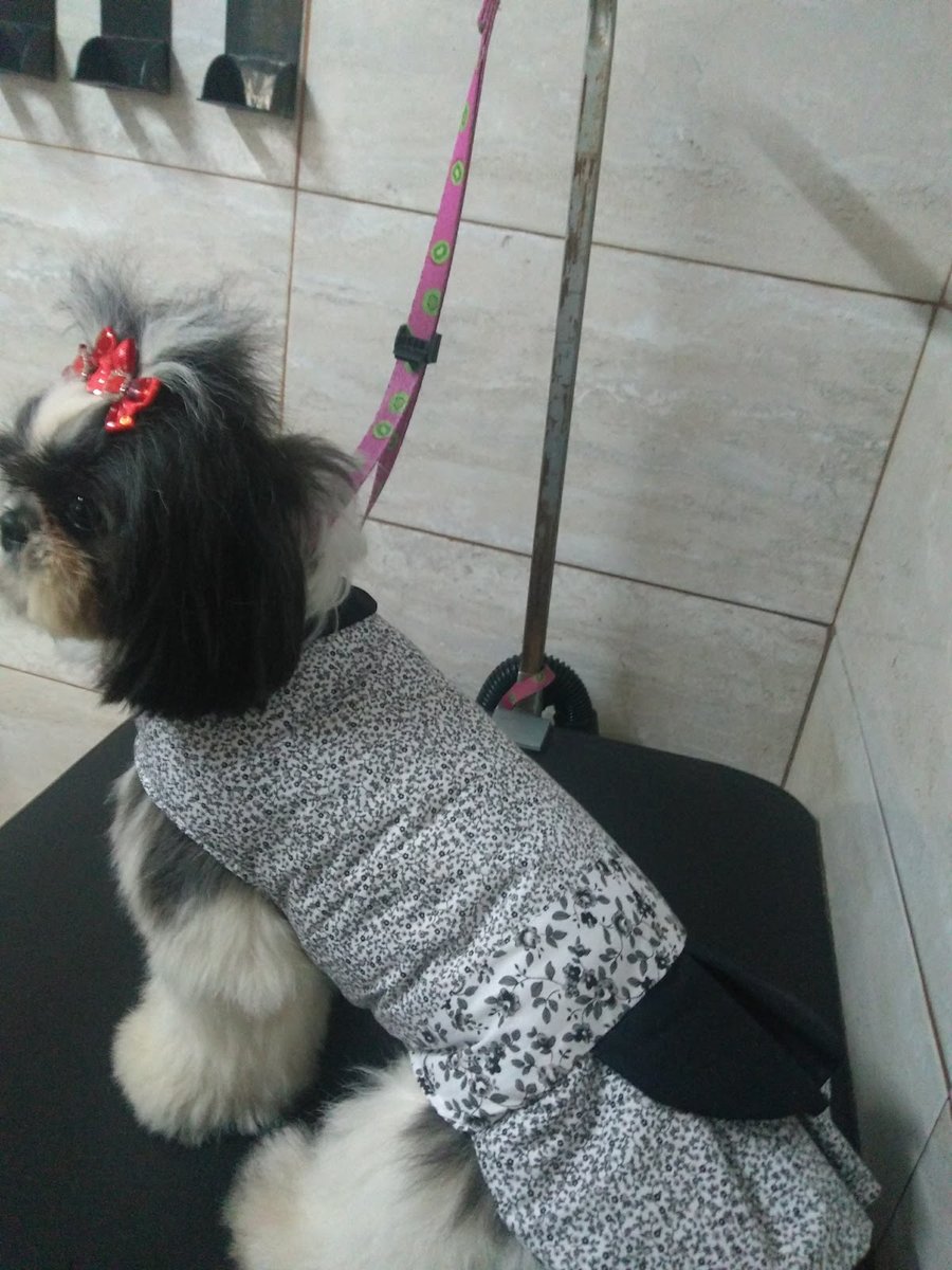 Pet Show Veterinária