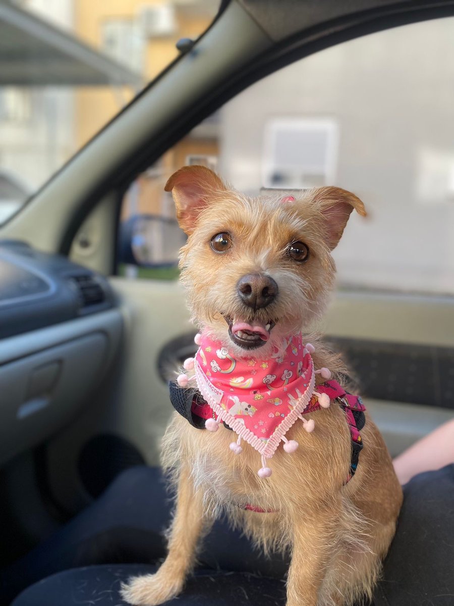 É Meu Filho Sim Pet Shop