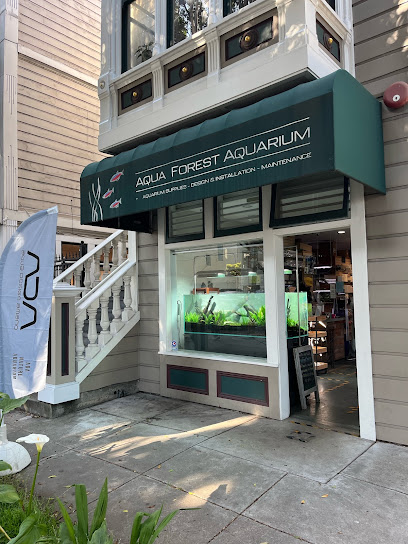 Aqua Forest Aquarium