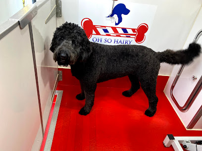 Oh So Hairy Dog Grooming