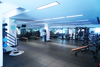 Live Fit Gym • Fairmont