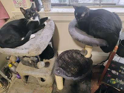 San Francisco Community Clinic Consortium