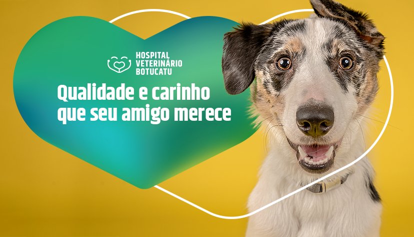 B. P. C. Clínica Veterinaria