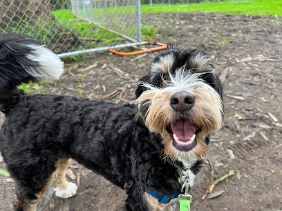 DogTales Walking & Sitting Service