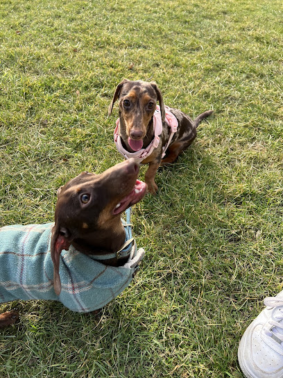 Four Paws Dog Walking & Pet Sitting Services