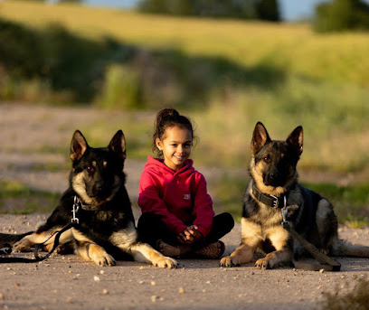Trident Elite Family Protection Dogs