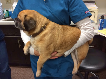 Seven Hills Veterinary Hospital