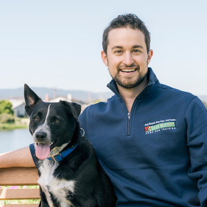 Bark Busters Home Dog Training San Mateo
