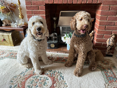 Doodles Happy Tails - (JB Pet Services)