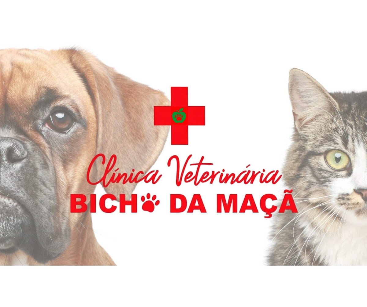 Clínica Veterinária Bicho da Maçã