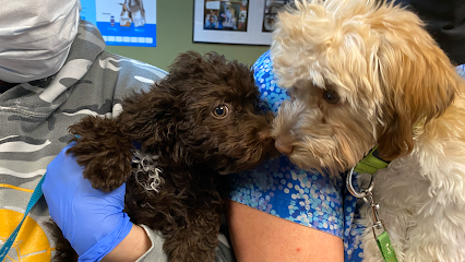 Pet Vaccination Clinic