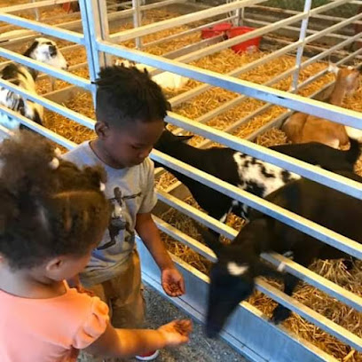 Care Bears 24 Hour Family Child Care