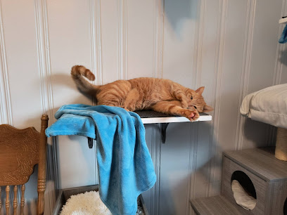 Compassionate Cat Care, LLC