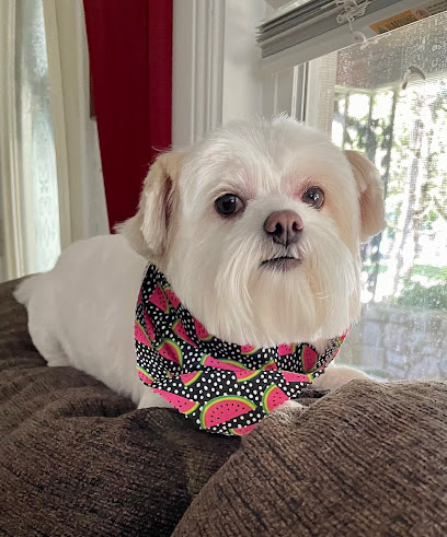 South 31 Veterinary Clinic