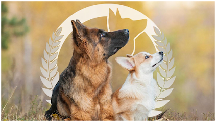 Dog Training Elite of Indianapolis