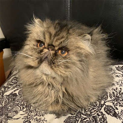 Amy's Critter Care, LLC