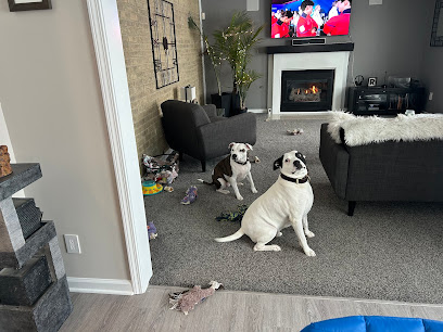 Tailstruck Pet Services