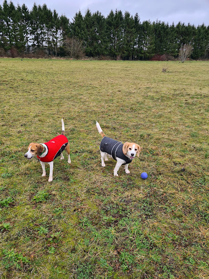 Wythall Animal Sanctuary