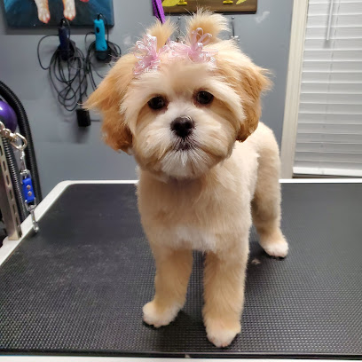 Bark in Time Paw Spa