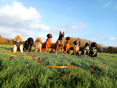 Your Pets Our Passion - Dog Walking