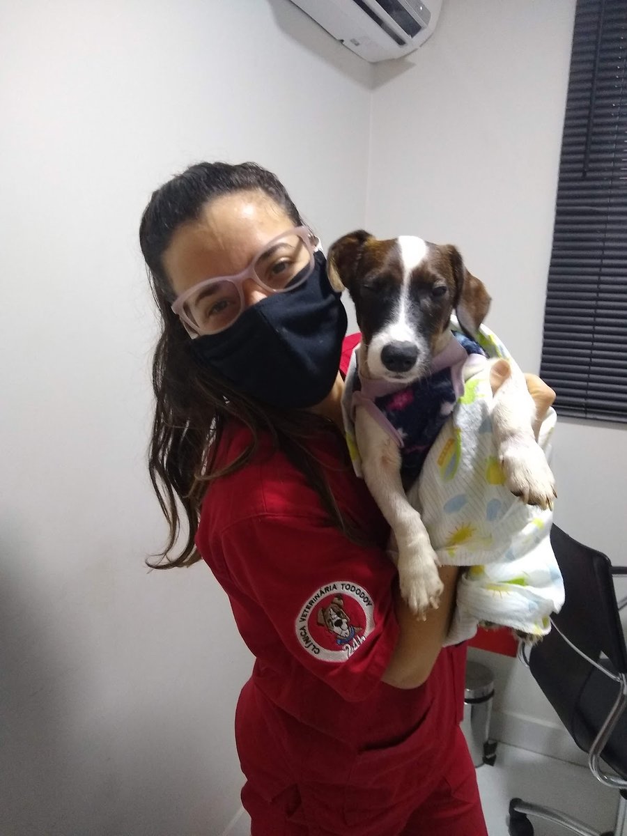 Clínica Veterinária