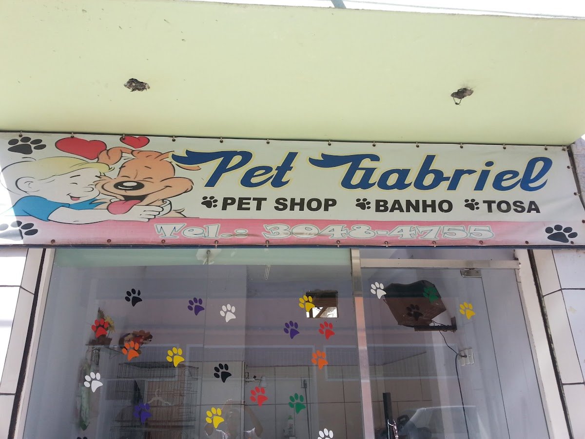 Pet Gabriel