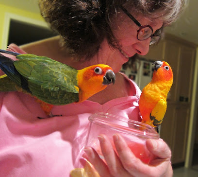 Pampered Parrot Behavior Coaching and Boarding
