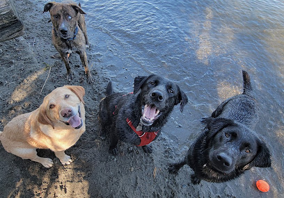 Seattle Dog Day Trips