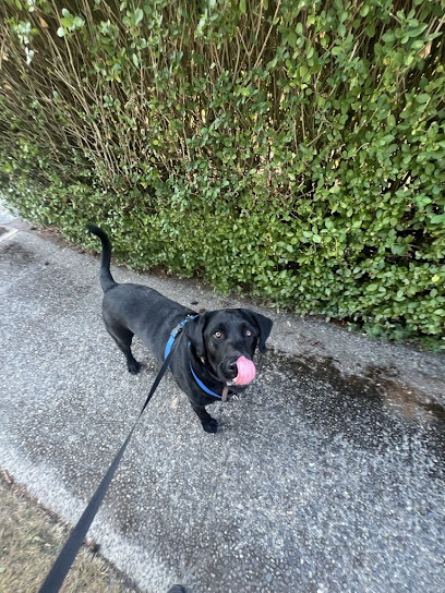 Duck Duck Moose Pet Care