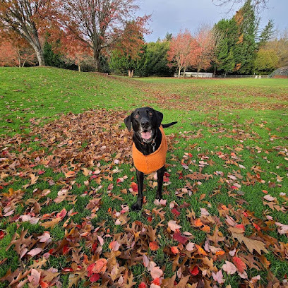 Sit 'N Stay Pet Sitting, L.L.C & Dog Walking