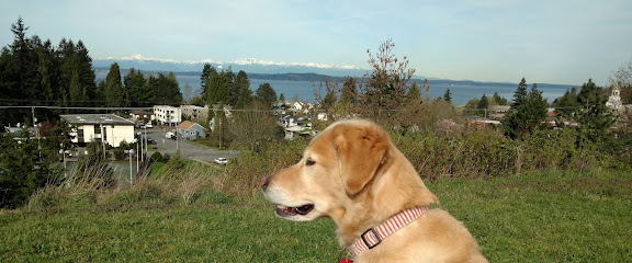 Cassie's Canine Connection